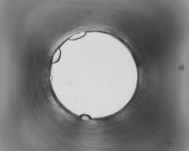 X0000112061500200909151014