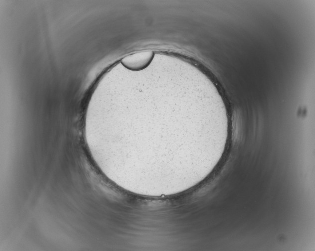 X0000112061501200909151014