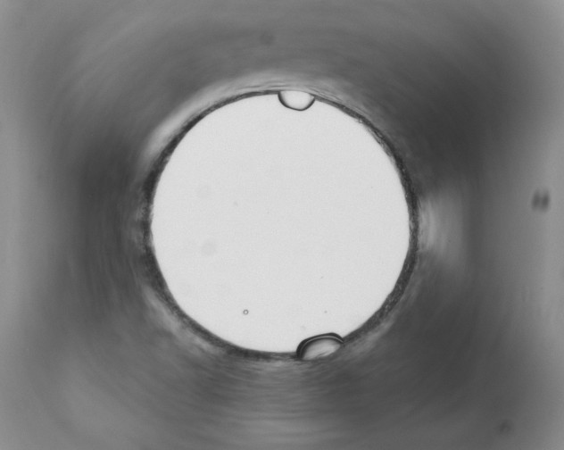 X0000112061502200909151014