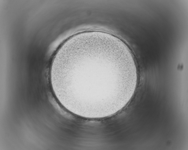 X0000112061503200909151014
