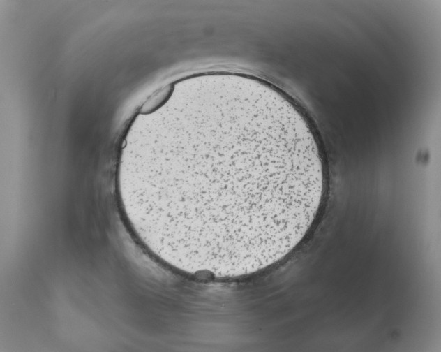 X0000112061504200909151014