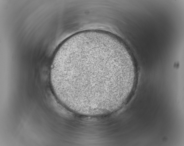 X0000112061505200909151014