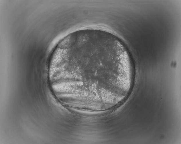 X0000112061506200909151014