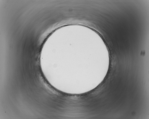 X0000112061507200909151014