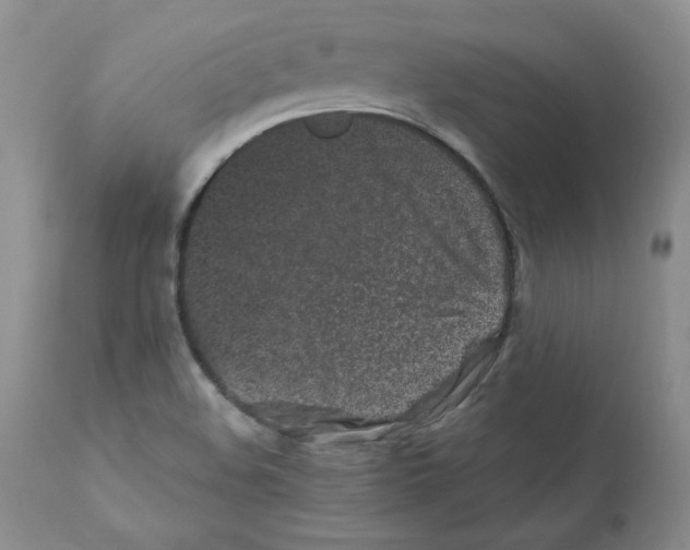 X0000112061508200909151014