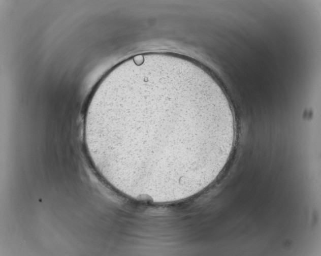 X0000112061509200909151014