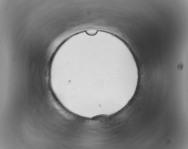 X0000112061511200909151014