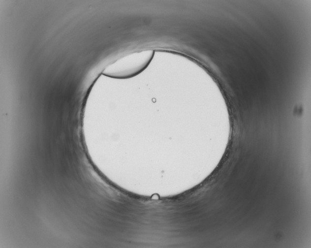 X0000112061512200909151014