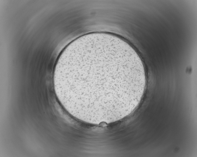 X0000112061513200909151014