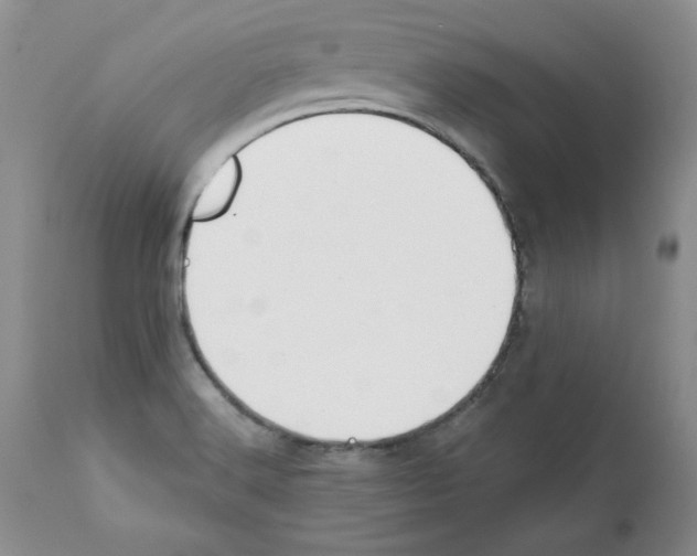 X0000112061516200909151014