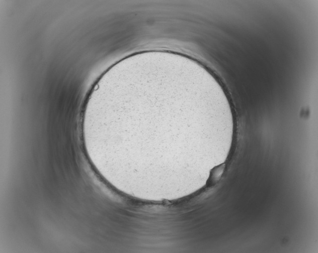 X0000112061517200909151014