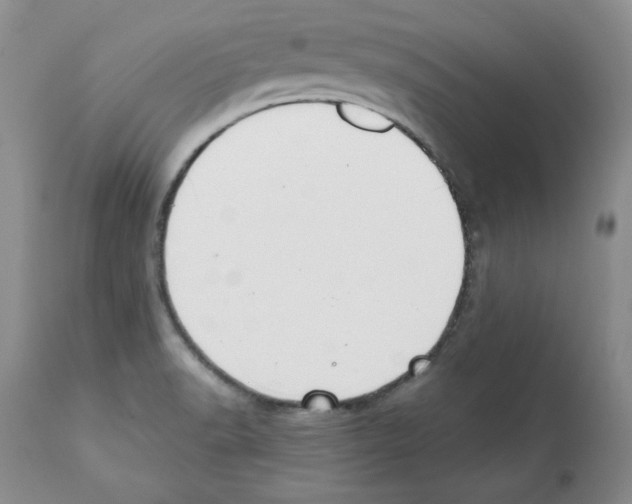 X0000112061518200909151014
