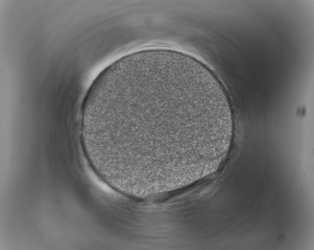 X0000112061519200909151014