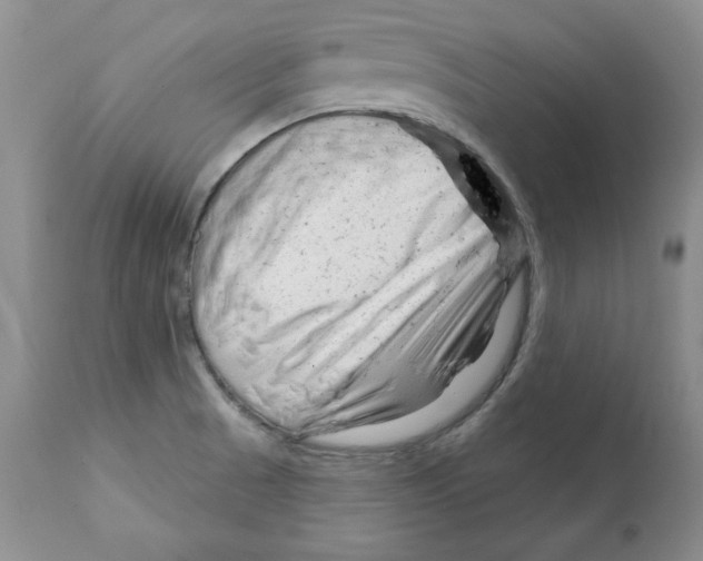 X0000112061521200909151014