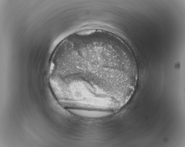 X0000112061522200909151014