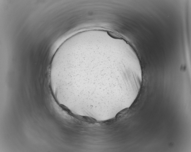 X0000112061524200909151014