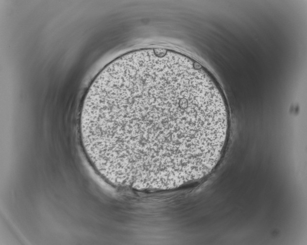 X0000112061525200909151014