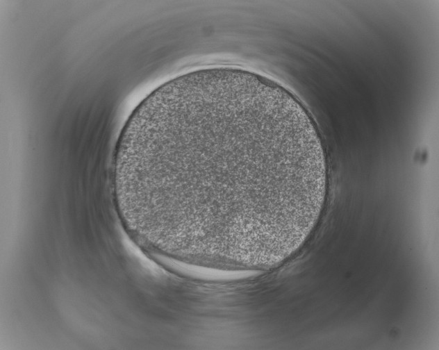 X0000112061527200909151014