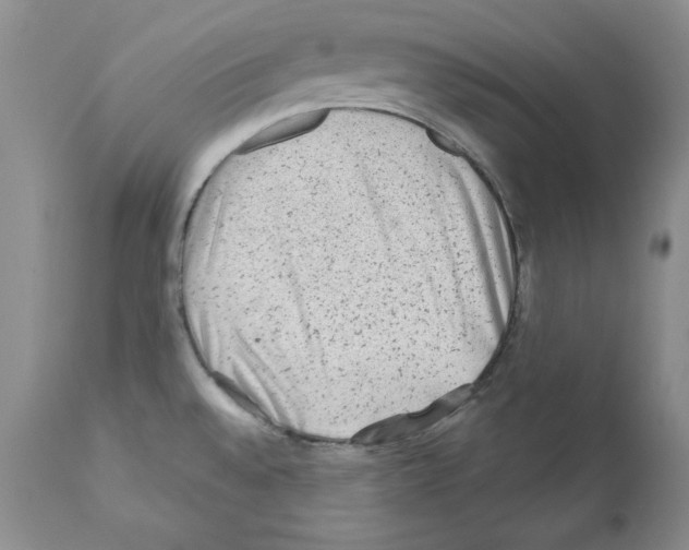 X0000112061528200909151014