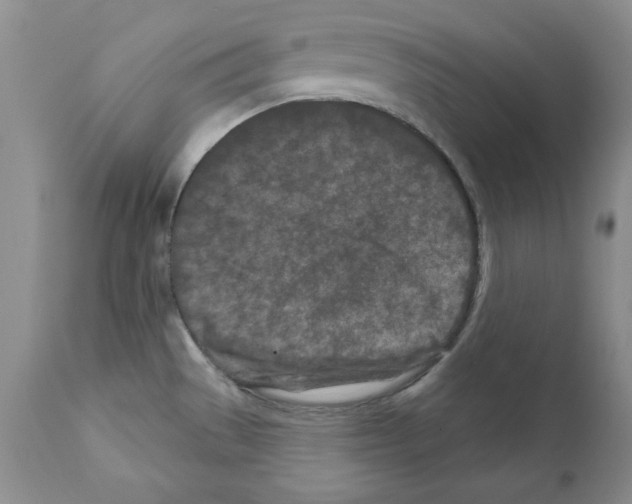 X0000112061529200909151014