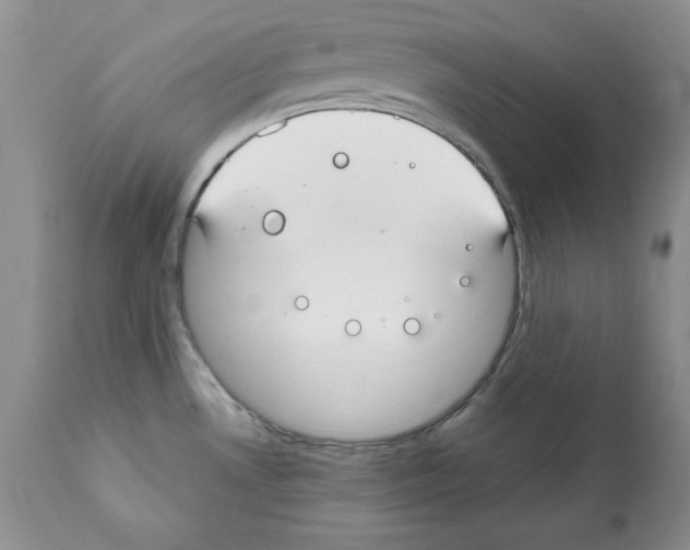 X0000112061530200909151014