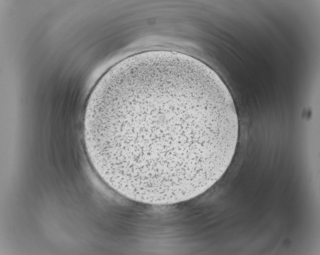 X0000112061531200909151014