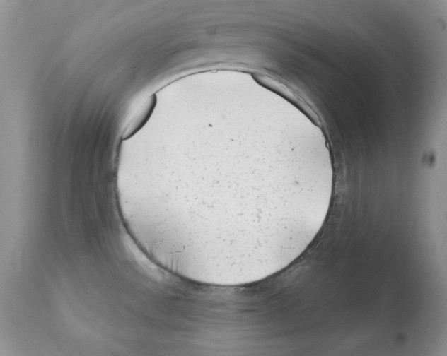 X0000112061532200909151014