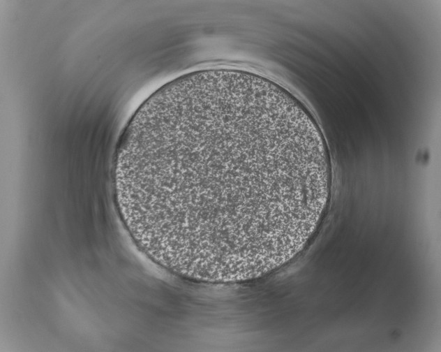 X0000112061533200909151014