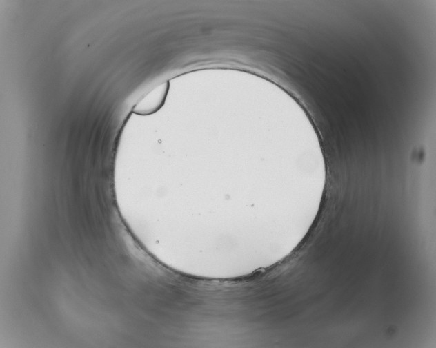 X0000112061534200909151014