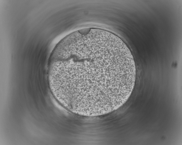 X0000112061535200909151014
