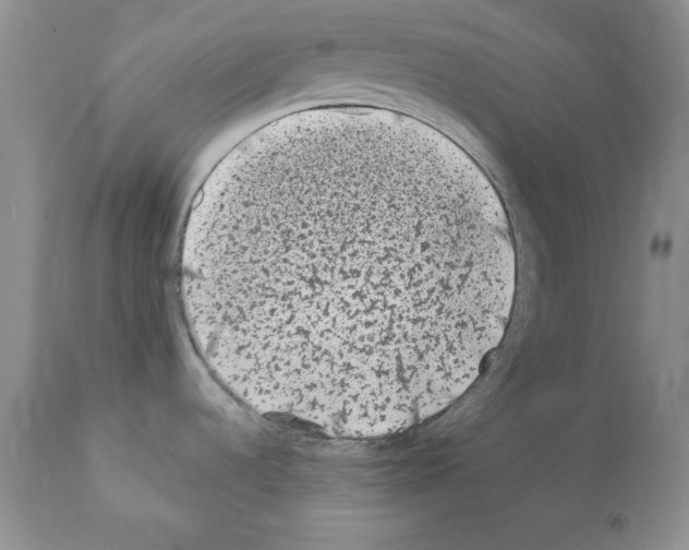 X0000112061536200909151014