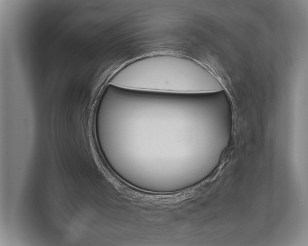 X0000112070001200908041000
