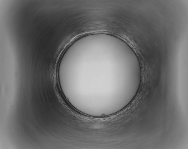 X0000112070002200908041000