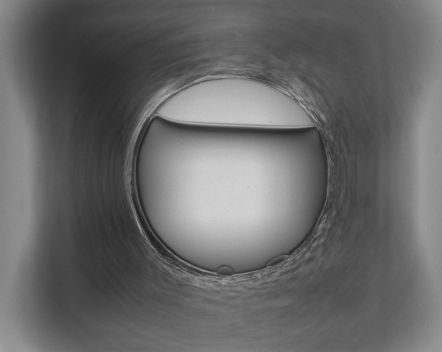 X0000112070003200908041000