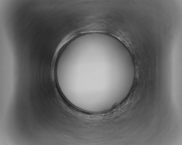 X0000112070004200908041000