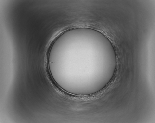 X0000112070005200908041000