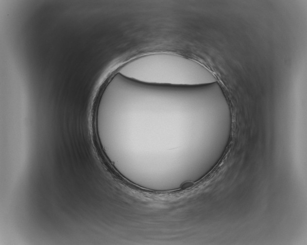 X0000112070006200908041000