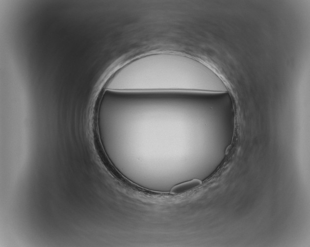 X0000112070007200908041000