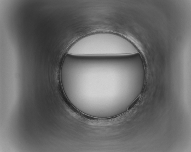 X0000112070009200908041000