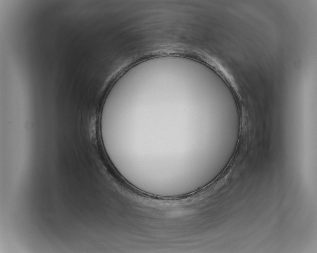 X0000112070010200908041000
