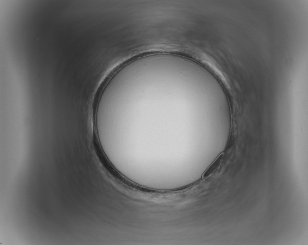 X0000112070011200908041000