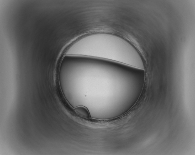 X0000112070012200908041000
