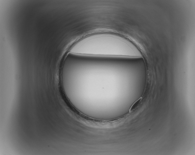 X0000112070015200908041000