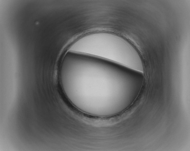 X0000112070016200908041000