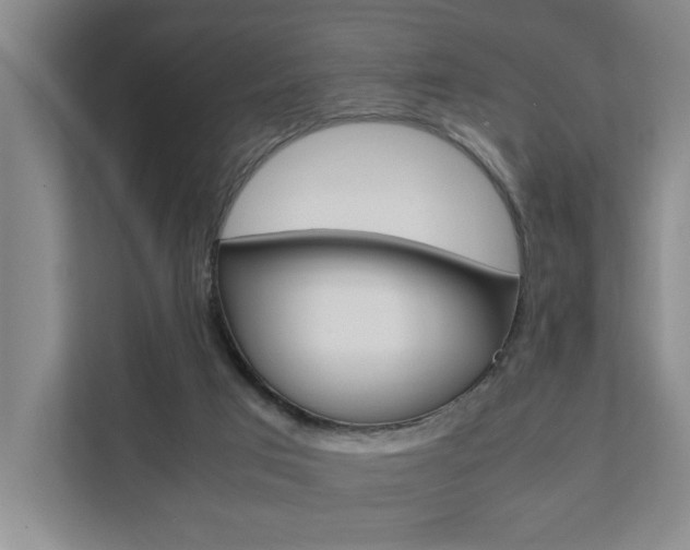 X0000112070017200908041000