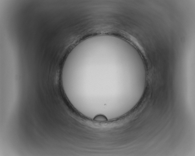 X0000112070018200908041000