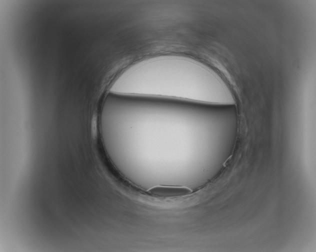 X0000112070019200908040959