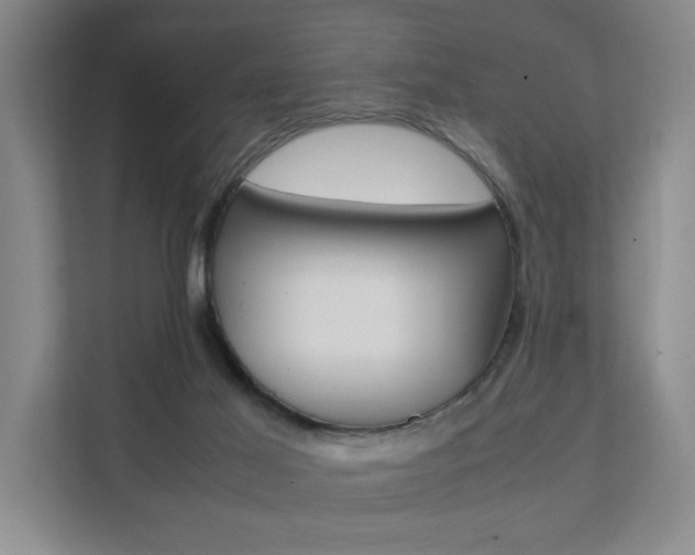 X0000112070021200908040959
