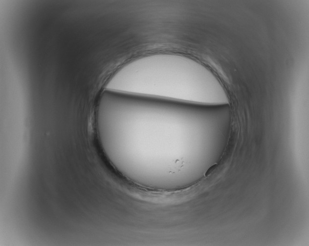 X0000112070023200908040959