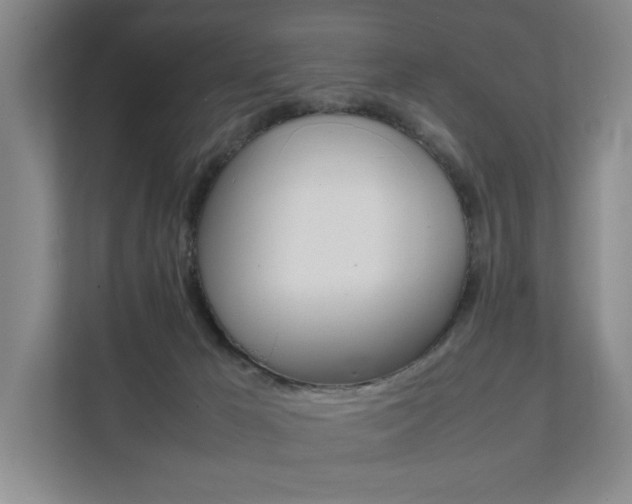 X0000112070029200908040959